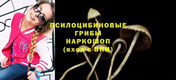 ALPHA-PVP Арсеньев