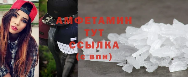 прущие грибы Аркадак