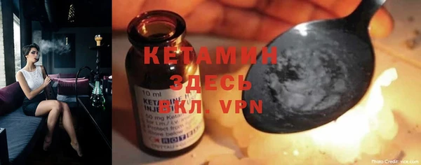 прущие грибы Аркадак