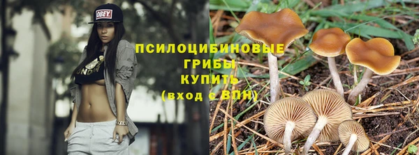 ALPHA-PVP Арсеньев