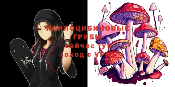 ALPHA-PVP Армянск