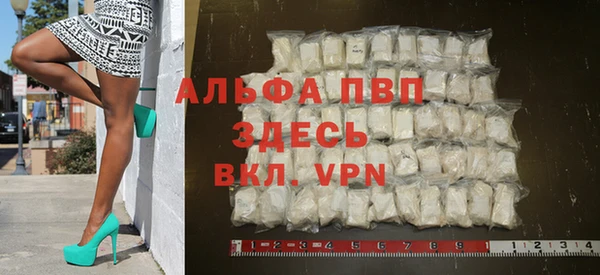прущие грибы Аркадак