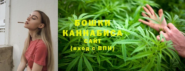 прущие грибы Аркадак