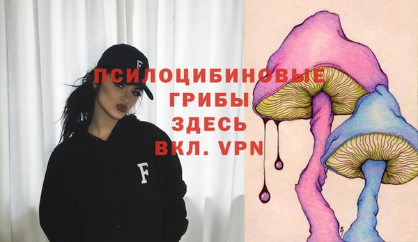 прущие грибы Аркадак