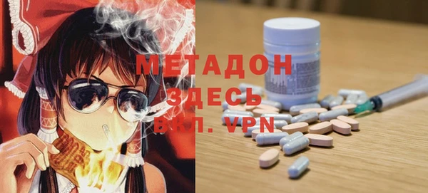 прущие грибы Аркадак