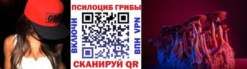 Галлюциногенные грибы ЛСД Аркадак